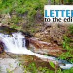 Celebrating our forests – past and future