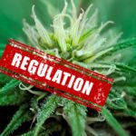 B.C. releases first decisions on cannabis regulations