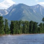 City discharging treated effluent to Elk River