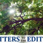 International and intercultural learning embraced