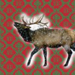 Including wildlife in your holiday gift giving plans