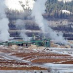 New council will advocate for B.C. forestry workers