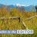 Last chance to have say in revitalizing ALR