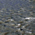 High Streamflow Advisory for Moyie River