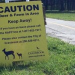 Aggressive doe reported on Rotary Trail