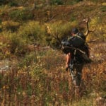 Updated hunting and trapping regulations published