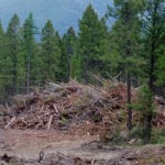 Category 3 burns to be restricted in southeast