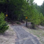 Trail rider rushed by grizzly near Mayook