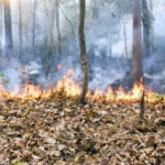 FireSmart project underway