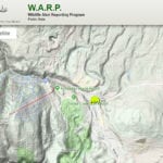 Report of a grizzly going after livestock