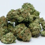 Cannabis sale and use draft bylaws presented