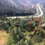 Remains found at plane crash site near Revelstoke