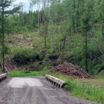 Time for B.C. to control private land logging