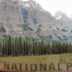 Banff campground closed after wolf incident