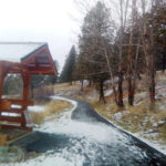 Hazardous tree removal will close trail