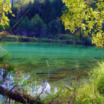 Gaming grants support wetlands