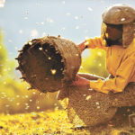 Rockies Film Series presents Honeyland Dec. 19