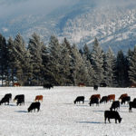 New residential options proposed for agricultural land