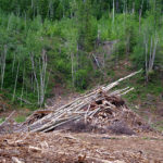 District of Sparwood prohibits Category 2 and 3 fires