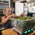 New programs support basin food producers