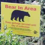 Bear reported on Bossio Road back deck