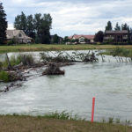Caution – large tree in Columbia River at Fairmont