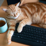 Working from home: an insider’s perspective on a new normal