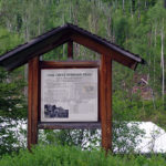 Bear and moose sightings reported on Fernie trails