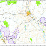 Huckleberry harvesting restricted to protect grizzly habitat