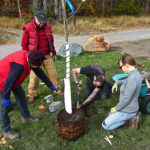 Mainstreams aiding riparian habitat along Mark Creek