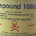 Compound identified as poison harming dogs
