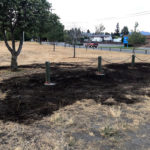 CFES respond to grass fire at Pop Price Park