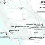 Valley old growth stands marked for protection