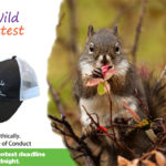 WildSafeBC photo contest taking submissions