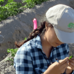 Agritech Grant program accepting applications