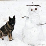 PSD Denim and fellow officers rescue elderly couple