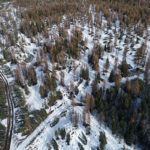 City boundary wildfire mitigation activities move forward