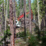 Province partners with Trust to reduce wildfire risks