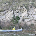Ecosystems and species-at-risk habitat enhanced