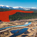 WMA logging must be denied argues Wildsight