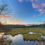 Lake Biodiversity Photo Challenge launched