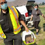 Pet guardians reminded that help is available during wildfires