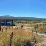 RDEK contributes $25,000 to new wildlife viewing platform