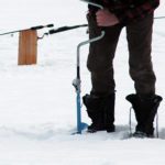 Invasive species management spans four seasons