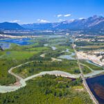 Ecosystem projects create meaningful impact