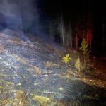Firefighters extinguish grassfire near Baynes Lake