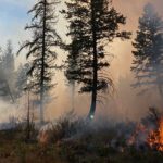 Prescribed burn near YXC set to begin April 26