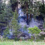 Grassfire contained near Jaffray