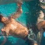 The Art of Capturing Ephemerality