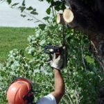 City encourages residents to prune in June